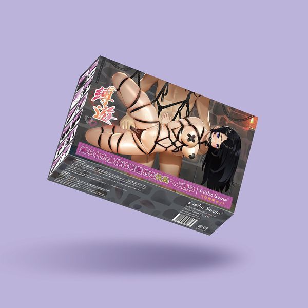 БДСМ-набор Liebe Seele Bound You 12pcs set, 12 предметов, в комплекте вибропуля и кружевные стринги SO9505 фото