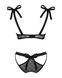 Полупрозрачный эротический комплект Obsessive Obsessivia 2pcs set black S/M, бюстгальтер и трусики, SO7297 фото 6