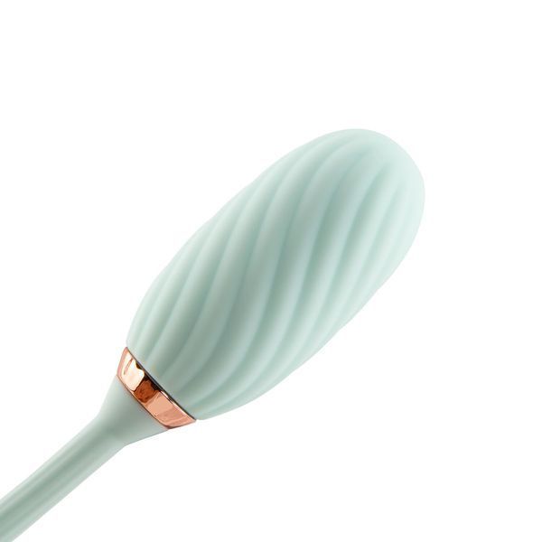 Вакуумный клиторальный стимулятор Otouch Louis Vibrate Teal с виброяйцом, в кейсе SO9429 фото